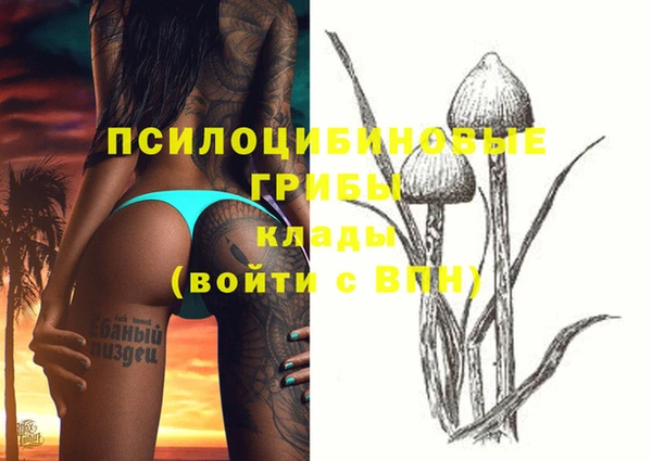 mdpv Липки