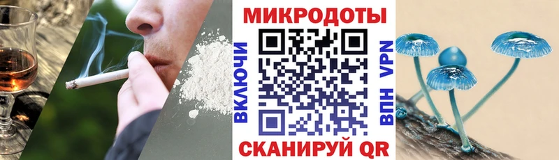 Купить  Нижние Серги  Псилоцибиновые грибы MAGIC MUSHROOMS 